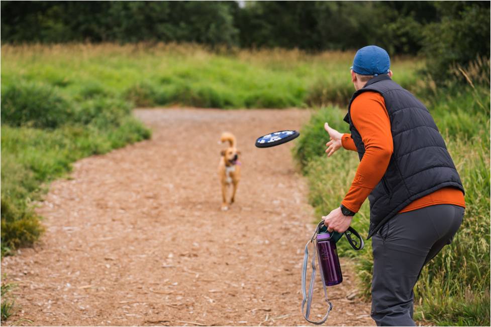 10 Best Dog Gifts for Your Active Pup