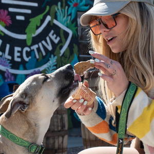 A woman feeding her dog a treat while the dog is wearing an OllyDog collar and leash 