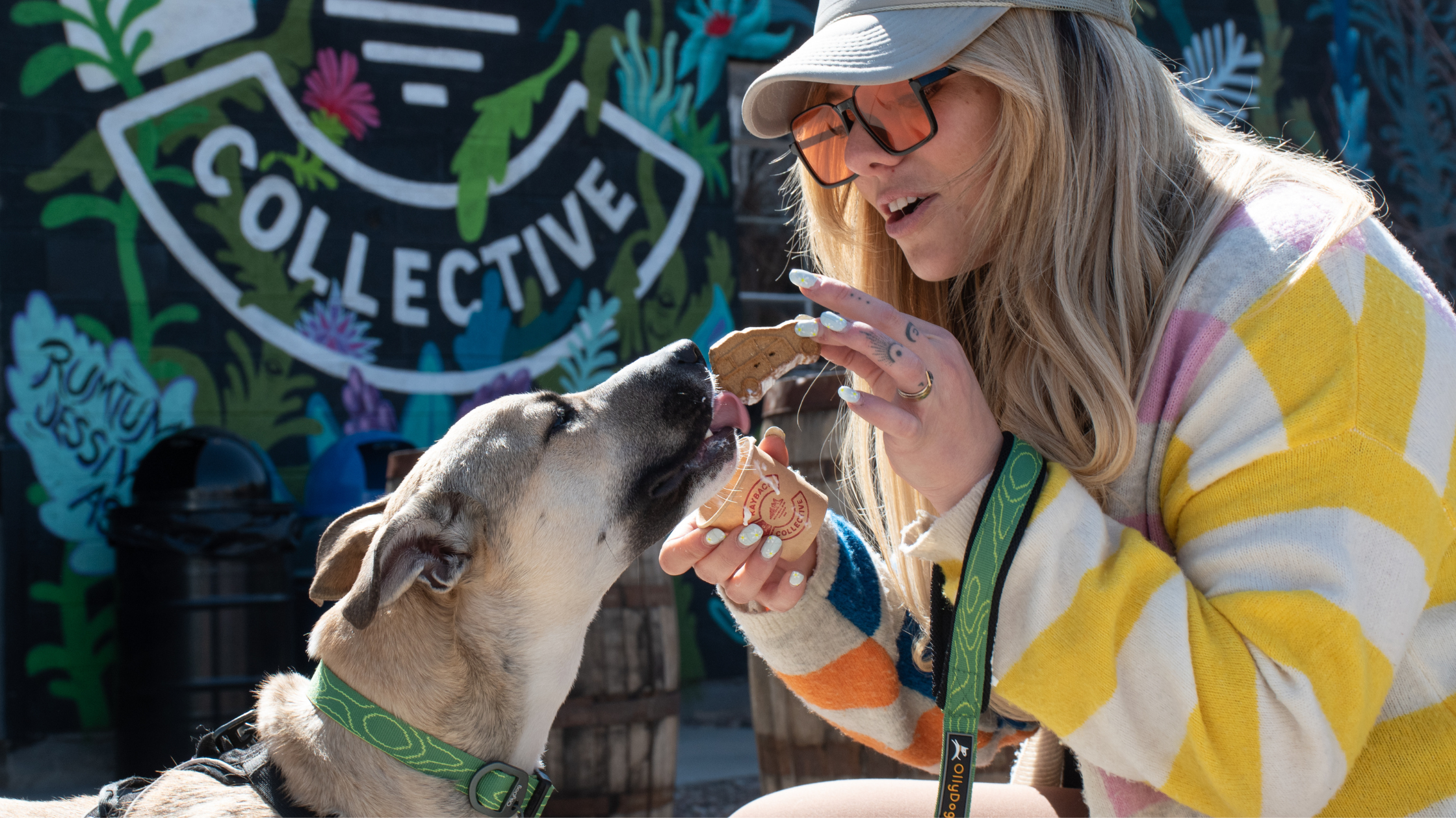 A woman feeding her dog a treat while the dog is wearing an OllyDog collar and leash 