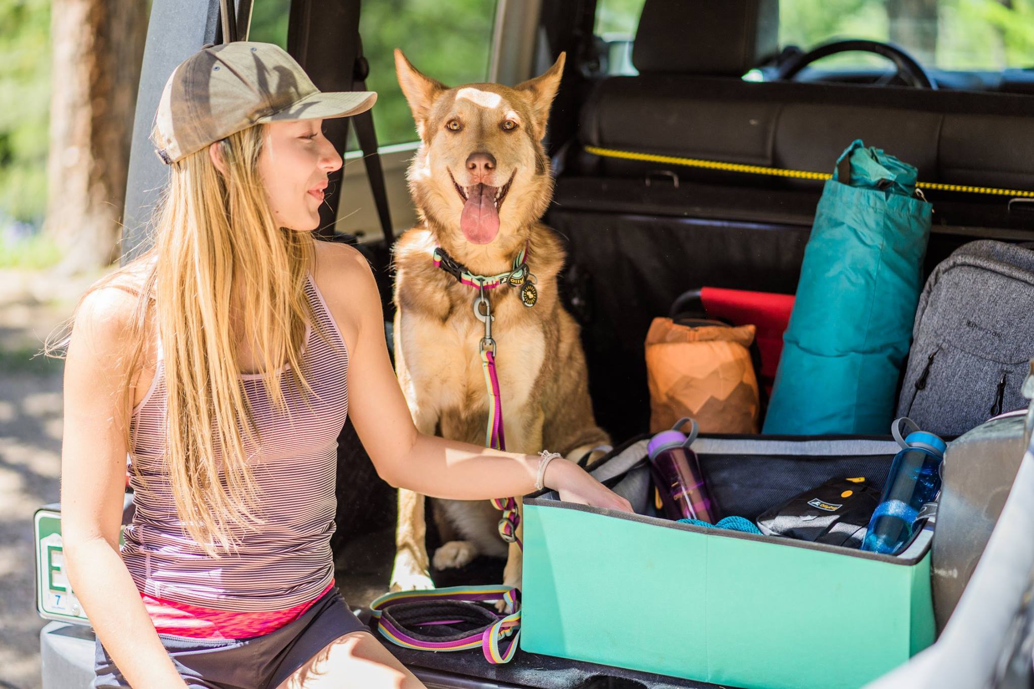 Dog hiking gear top