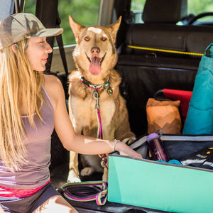 The 10 Best Gear and Accessories for Hiking With Your Dog