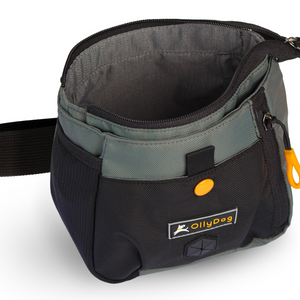 Backcountry Day Bag | Accessory Hip Pack