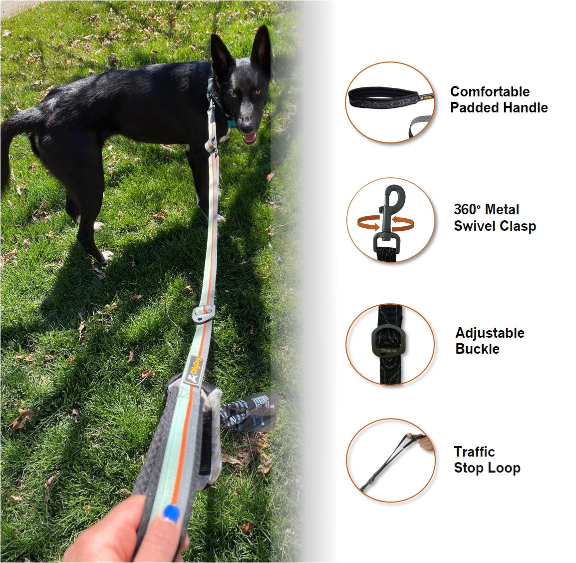 Flagstaff Adjustable Leash | Adjustable Dog Leash
