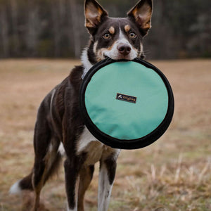 Flyer Disc | Frisbee Toy