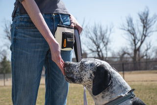 OllyDog Goodie Treat Bag  The #1 Dog Training Essential