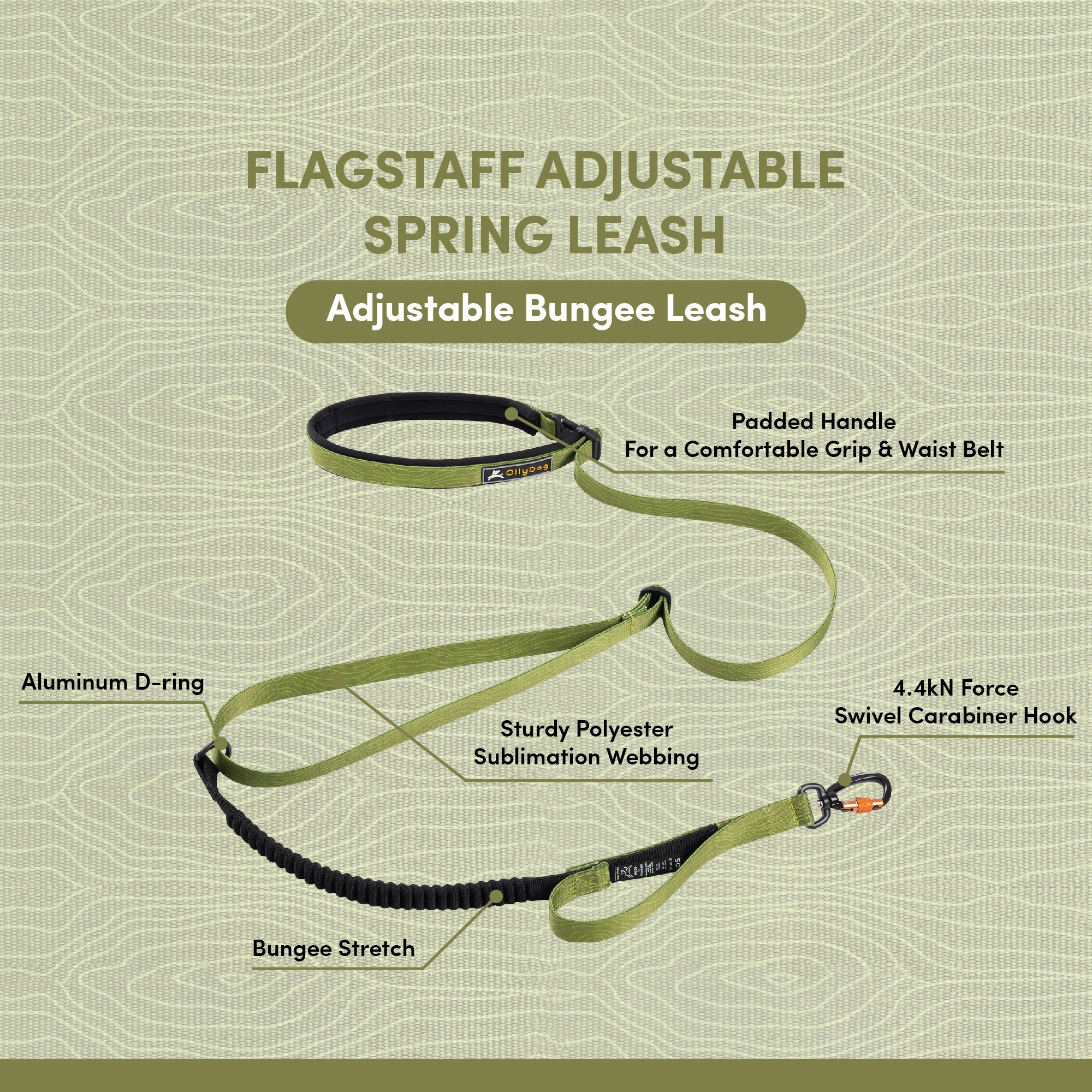 Information graphic showcasing the OllyDog Flagstaff Adjustable Spring Leash in a cactus woodgrain color, a bungee leash with an adjustable length, a padded handle that can also serve as a waist belt for hands-free use, a strong aluminum D-ring, a 4.4kN force swivel carabiner hook for secure attachment, and durable polyester sublimation webbing. The graphic emphasizes the leash's features designed for comfortable and flexible dog walking and running #color_cactus woodgrain