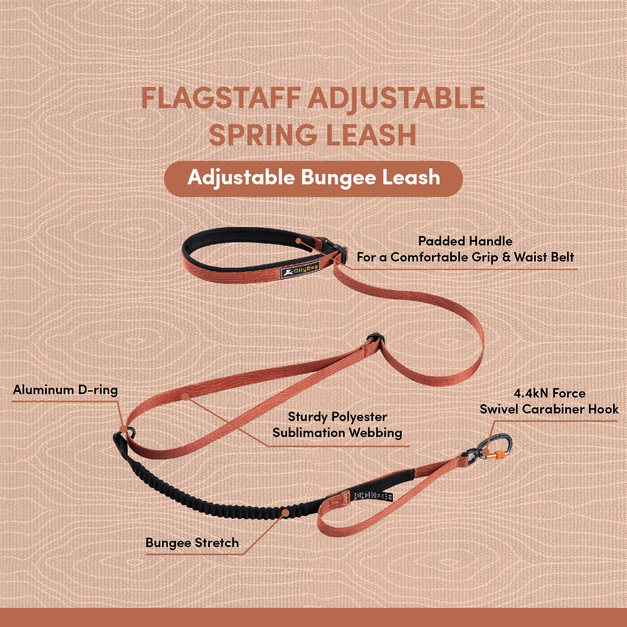 Information graphic showcasing the OllyDog Flagstaff Adjustable Spring Leash, a bungee leash with an adjustable length, a padded handle that can also serve as a waist belt for hands-free use, a strong aluminum D-ring, a 4.4kN force swivel carabiner hook for secure attachment, and durable polyester sublimation webbing. The graphic emphasizes the leash's features designed for comfortable and flexible dog walking and running #color_clay woodgrain