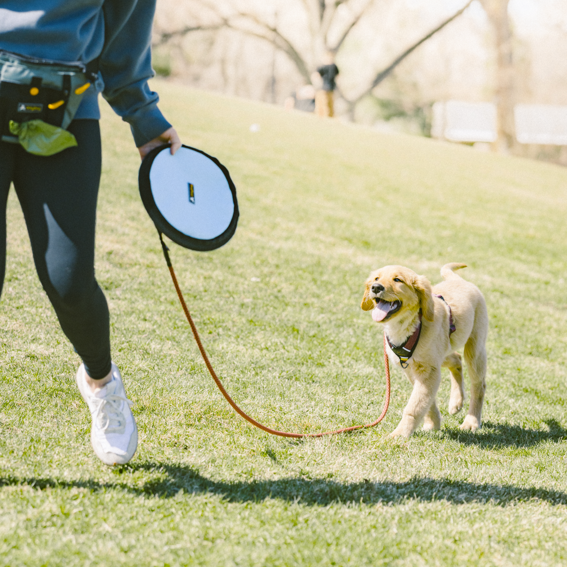 A person wearing a blue sweatshirt holds a dog frisbee toy while walking with a happy golden retriever puppy. The frisbee is a non-toxic dog toy suitable for play, and it functions as a floating dog toy, perfect for outdoor activities #color_maui blue