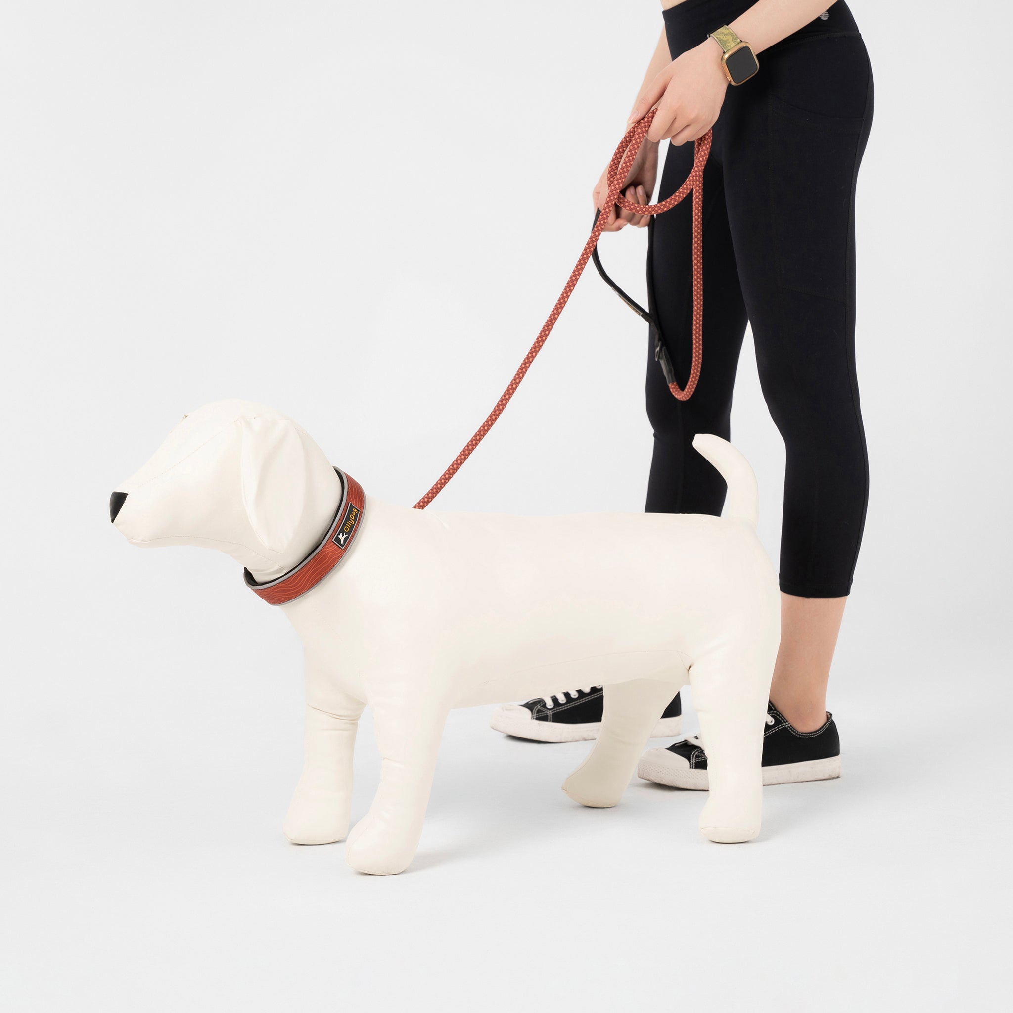 OllyDog Mountain Leash in clay color, made from durable kernmantle rope with a strong carabiner hook, padded handle for comfort, and nylon webbing. Features a lightweight, sturdy design ideal for outdoor activities. Perfect for walks, hikes, and adventures with your dog #color_clay