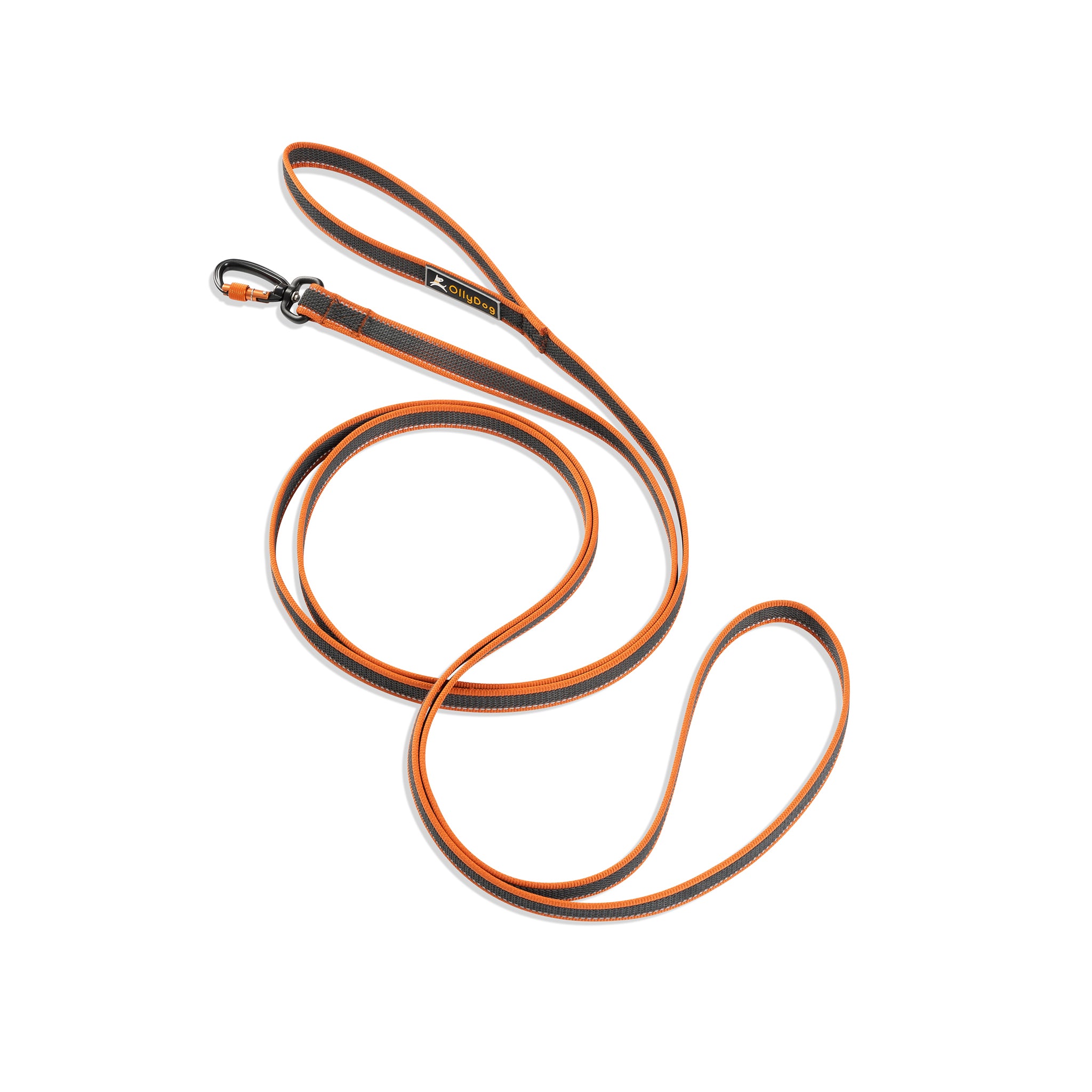 OllyDog Rubber Grip Reflective Dog Leash in Clay Orange - 119" long leash with durable aluminum carabiner hook and reflective trim shown coiled on white background #color_clay