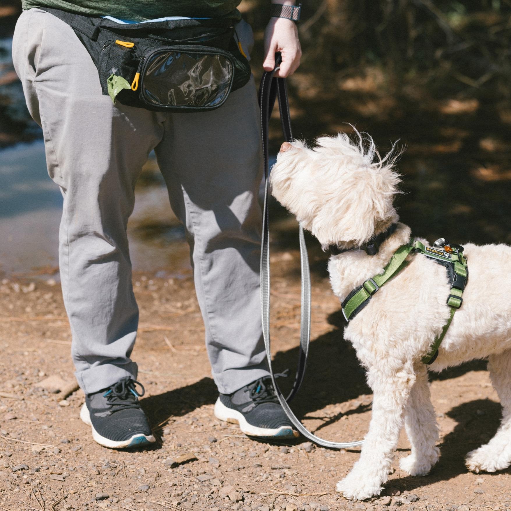 Dog with OllyDog Rubber Grip Reflective Leash in Raven color, perfect for outdoor adventures, featuring a comfortable grip and enhanced reflective properties for safety #color_raven