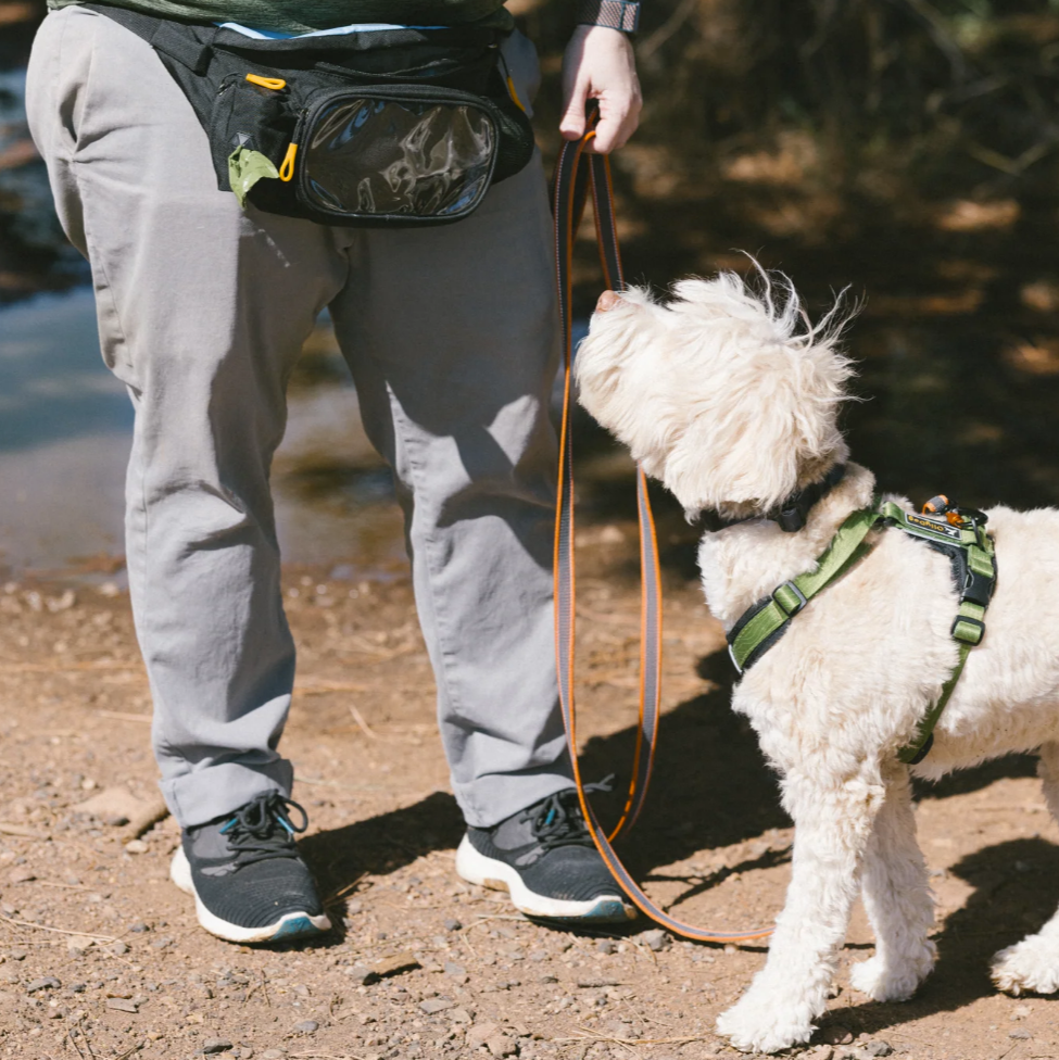 OllyDog Rubber Grip Long Dog Leash in Clay Orange - Durable 119" leash shown in use with small white dog wearing green harness during trail walk #color_clay