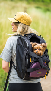 OllyDog- Innovative Dog Accessories