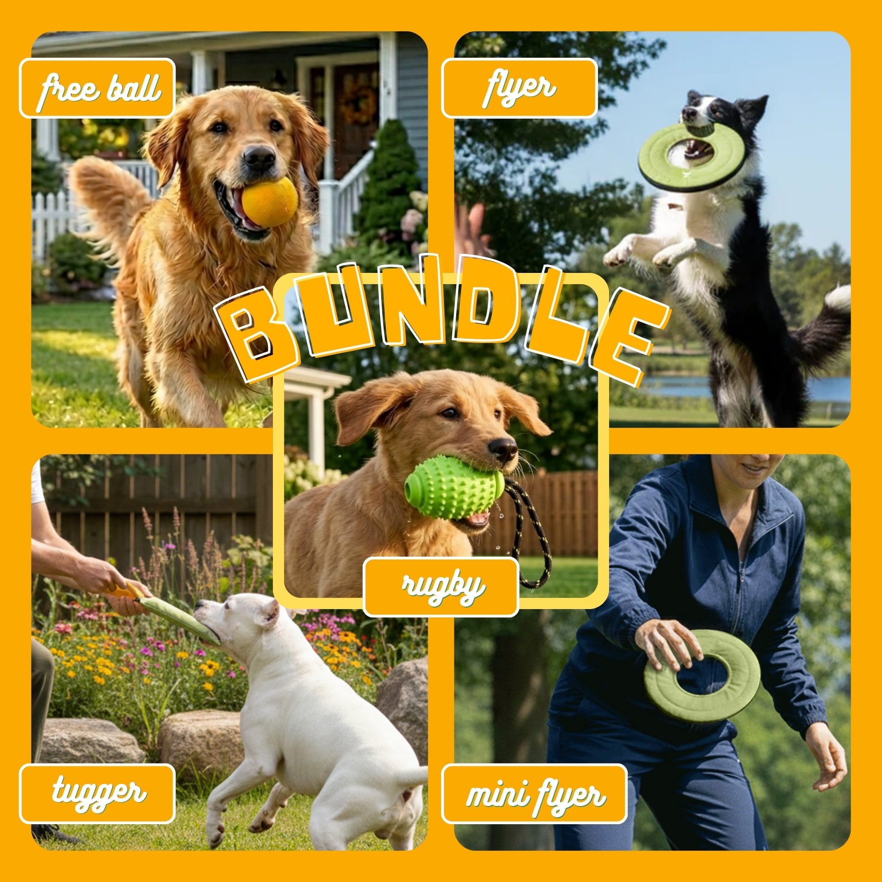 A collage of dogs playing outdoors with the OllyDog palm green toy bundle. Includes a Golden Retriever with a yellow ball, a Border Collie catching a flyer, a puppy with a spikey rugby toy, and a person playing tug-of-war with a white dog using the tugger toy #color_palm
