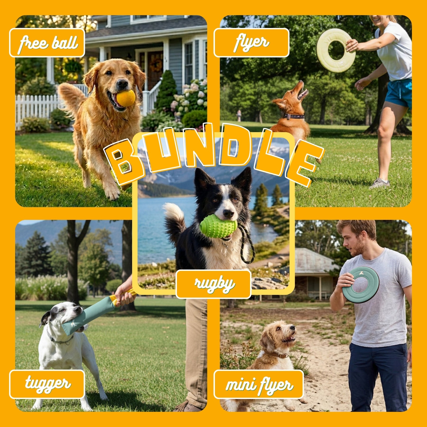 A dog toy lifestyle collage for the OllyDog Sol collection. It shows a Golden Retriever with a ball, a dog fetching a Sol yellow flyer, a Border Collie with a spikey rugby toy, and a person using the canvas tugger, set in various parks #color_sol