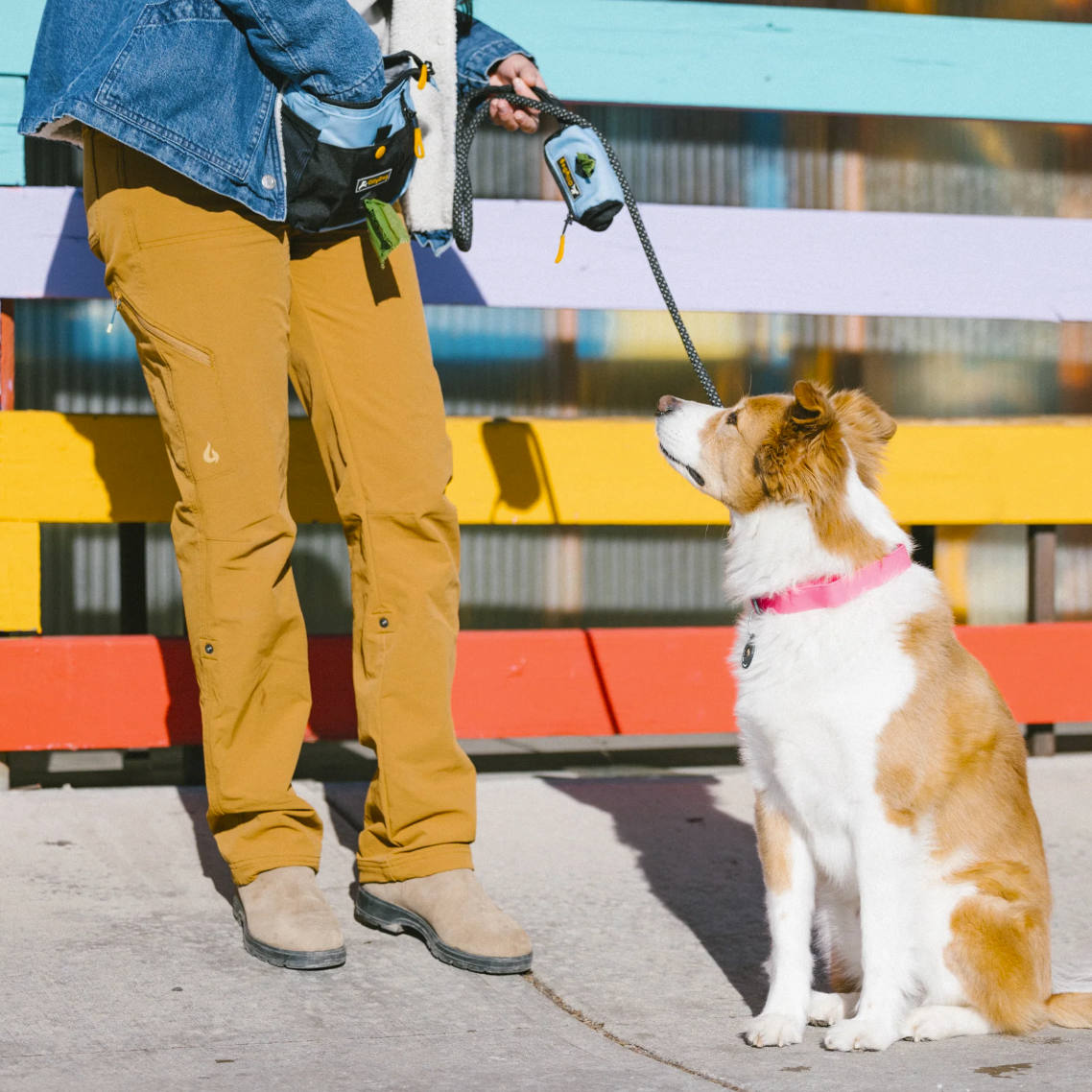 Lifestyle shot of a person wearing the OllyDog Backcountry Day Bag in maui blue color around their waist while holding a leash and interacting with a dog outdoors. #color_maui blue