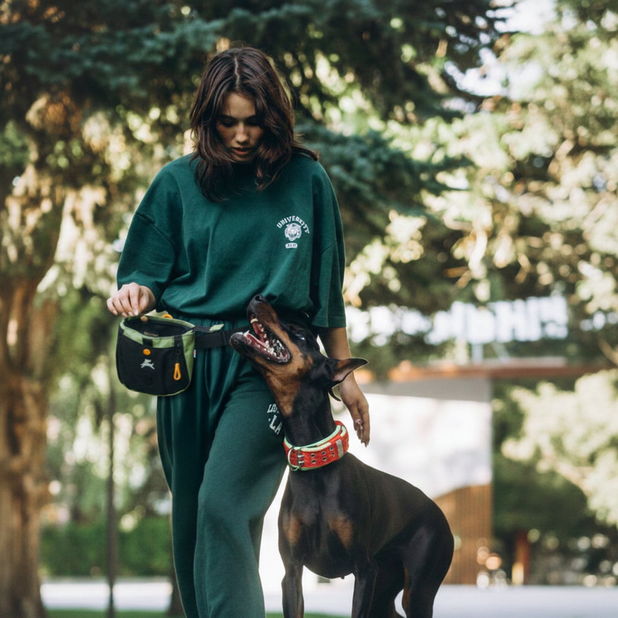 Lifestyle shot of a person wearing the OllyDog Backcountry Day Bag in palm green color around their waist while walking and training a dog outdoors. #color_palm