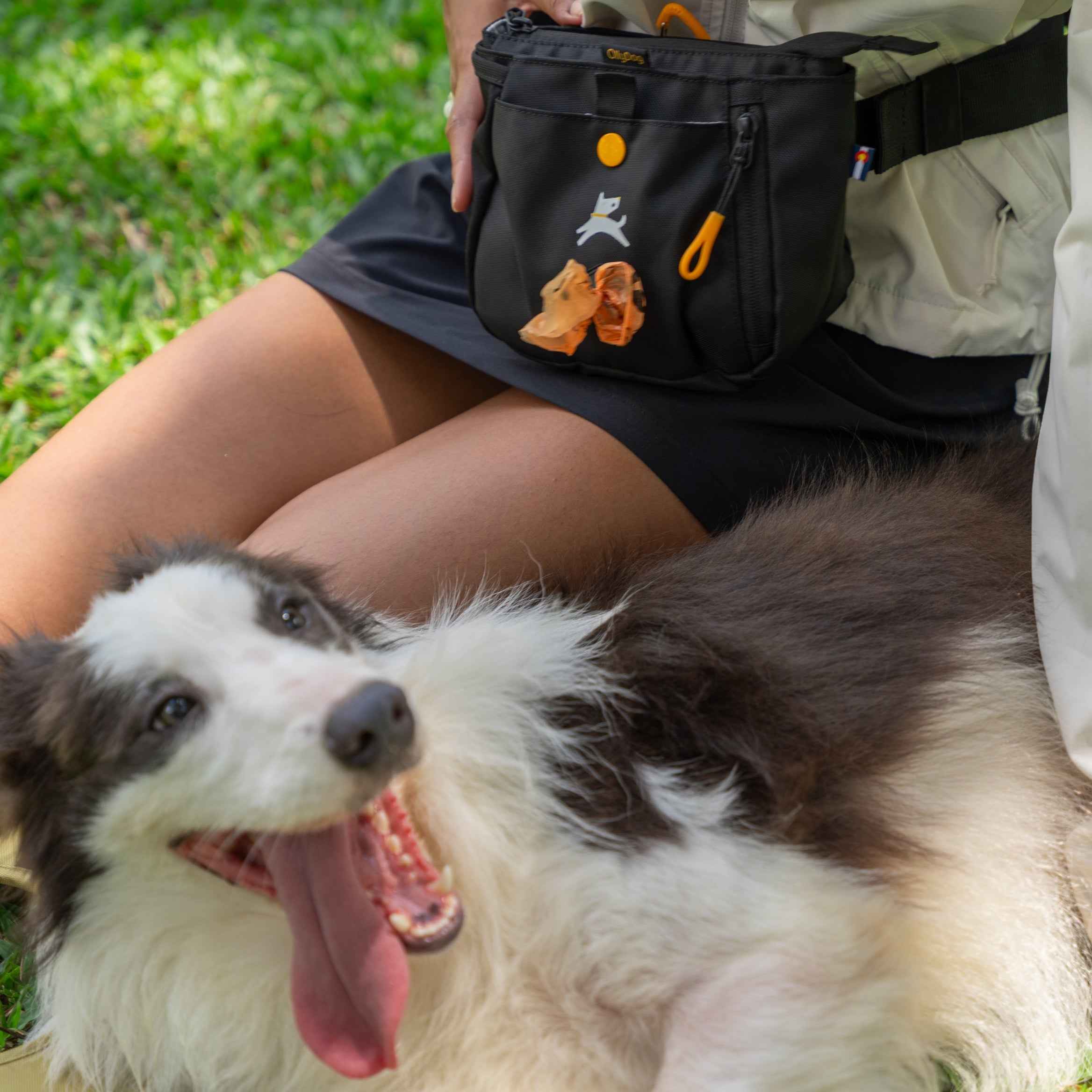 Lifestyle shot of a person wearing the OllyDog Backcountry Day Bag in raven black color around their waist, highlighting the built-in waste bag dispenser while relaxing with a dog outdoors. #color_raven s'25