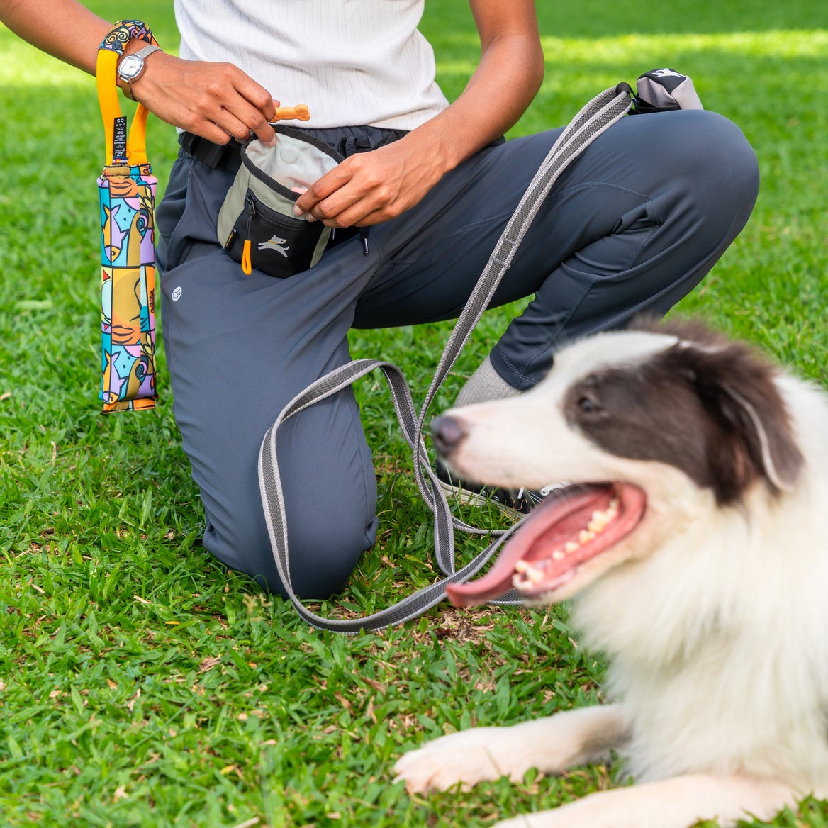 Lifestyle shot of a person kneeling on a grassy lawn training their dog while wearing the OllyDog Goodie Treat Bag in abbey stone color around their waist and reaching inside for a treat. #color_abbey stone