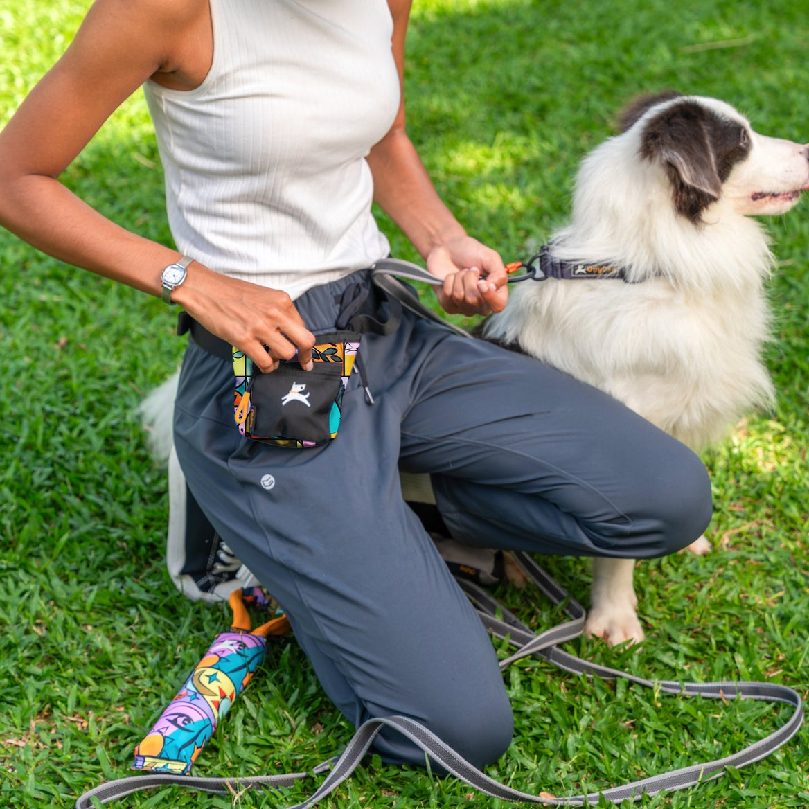 Lifestyle shot of a woman kneeling on a grassy lawn with her border collie dog while wearing the OllyDog Goodie Treat Bag in cloud9 print around her waist. #color_cloud9