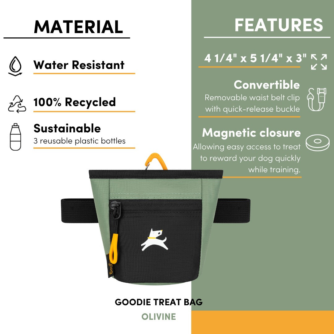 Infographic showing material and feature details of the OllyDog Goodie Treat Bag in olivine, including water resistance, 100% recycled material, dimensions, and magnetic closure. #color_olivine