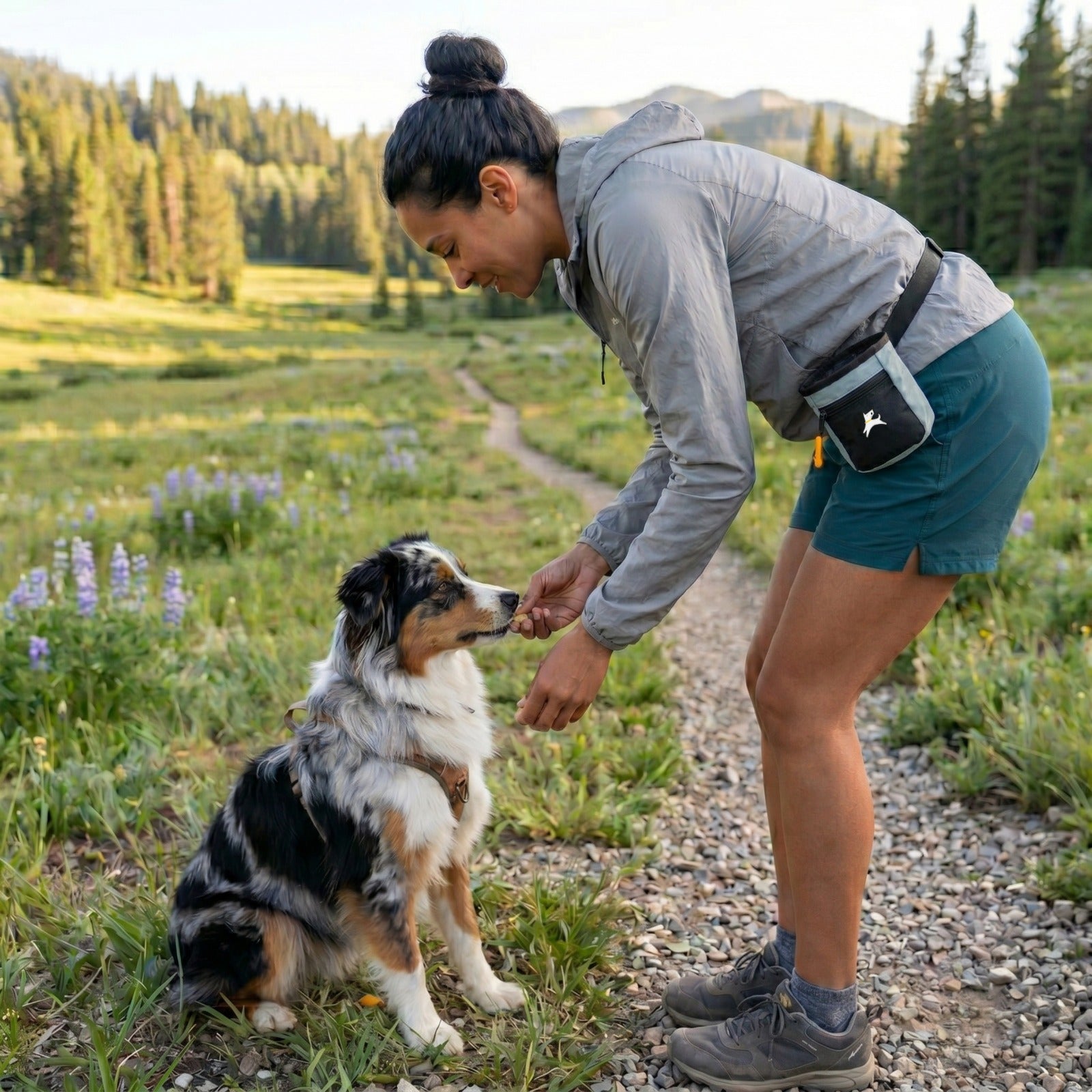 Lifestyle shot of a woman training her dog on a mountain trail while wearing the OllyDog Goodie Treat Bag in st. lucia color around her waist and giving a treat. #color_st. lucia