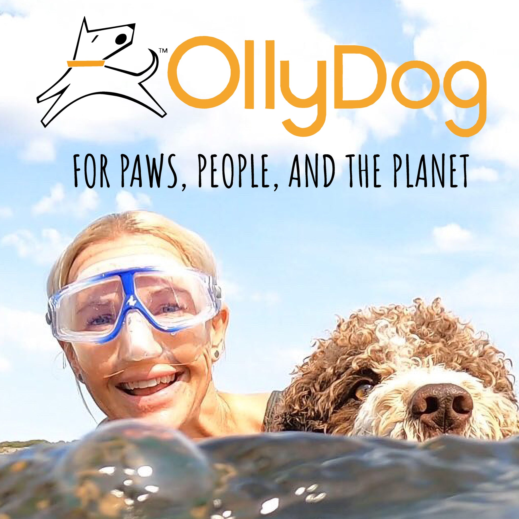 OllyDog- Innovative Dog Accessories