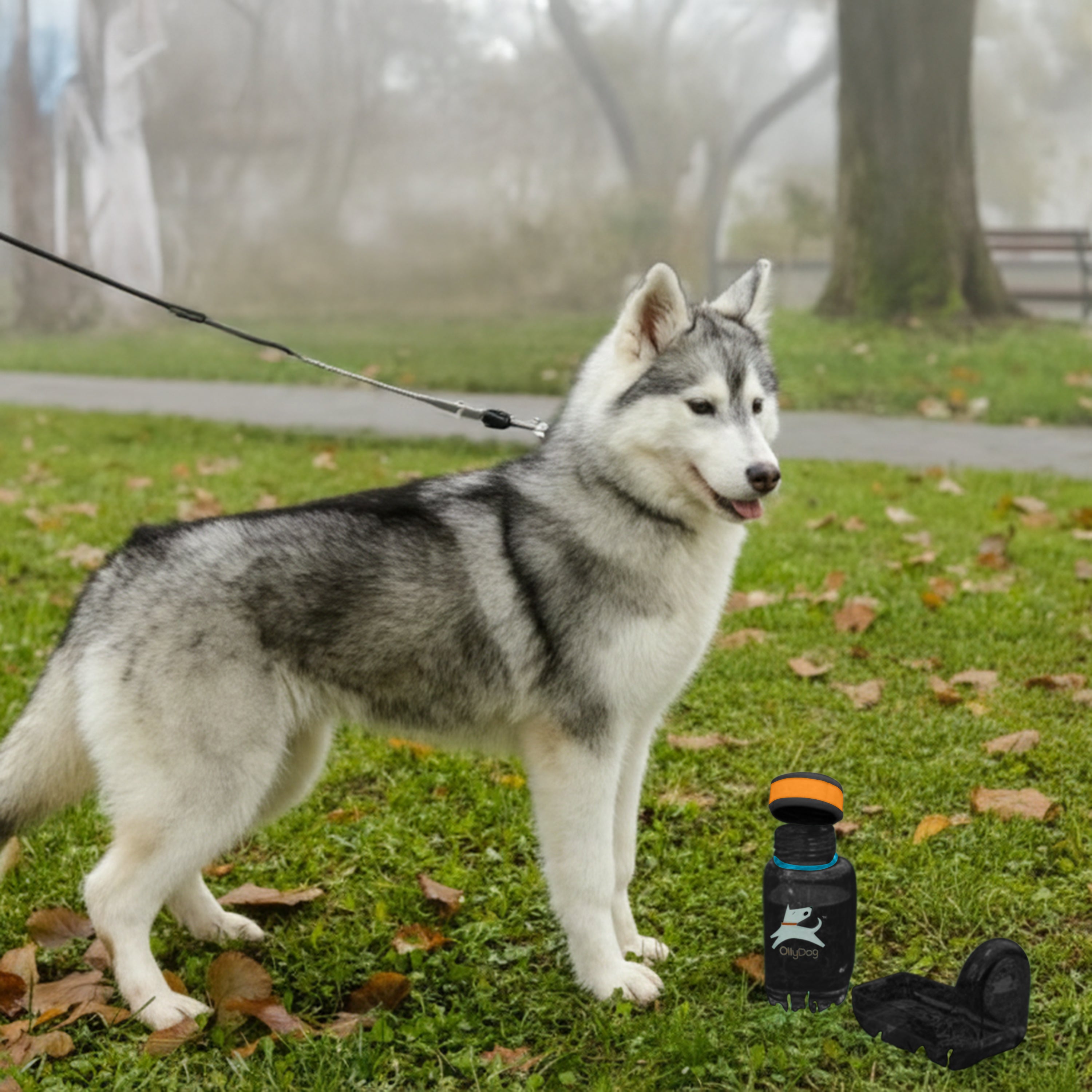 Compact 600ml portable dog water dispenser and detachable bowl set being used during a walk with a husky in an outdoor park #size_chromatic / 600ml