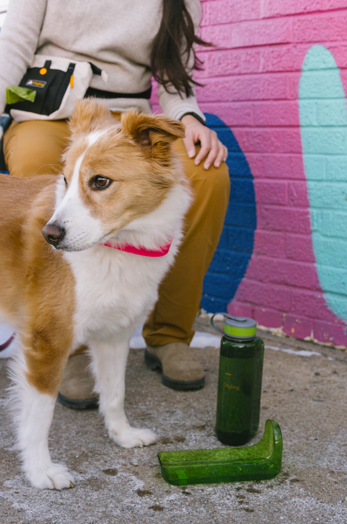 Lifestyle shot of a brown and white dog standing next to a person in front of a colorful painted brick wall, with the 1-liter grass green OllyDog OllyBottle portable water dispenser and its detached bowl resting on the ground. #size_grass / 1l