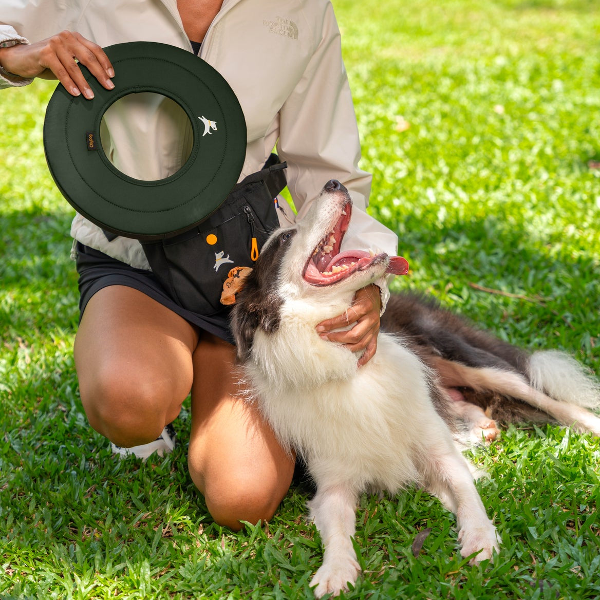Lifestyle shot of a person holding the OllyDog Super Flyer dog flying disc in winter moss green color next to a resting border collie on a green park lawn.#color_winter moss