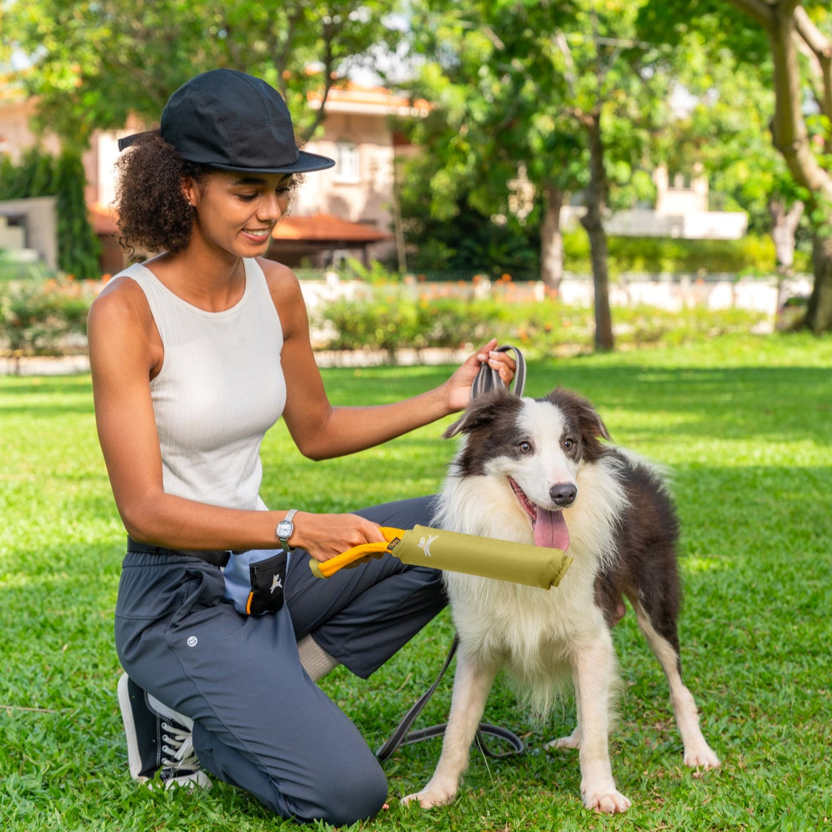Lifestyle shot of a smiling woman sitting on a green park lawn with a border collie, holding the OllyDog Tugger dog toy in alchemy green color.#color_alchemy