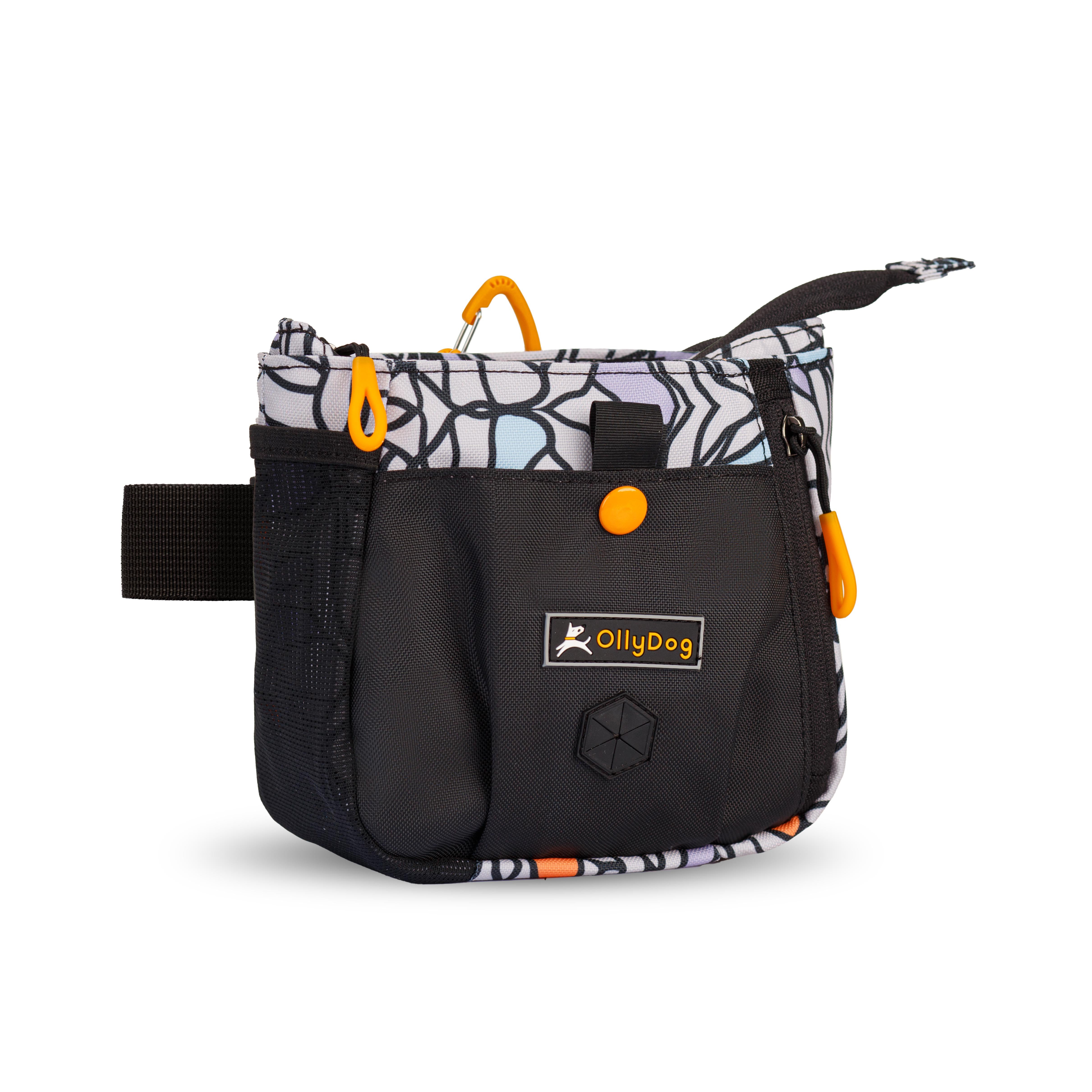 Angled front view of OllyDog’s Backcountry Day Bag in Bloom, a versatile dog walking waist pack featuring a zipper closure, dog poop bag holder, and extended side pocket. Ideal for hiking with dogs, this roomy bag offers adjustable straps for hands-free convenience, perfect for dog friendly trails and essential dog hiking gear. #color_bloom