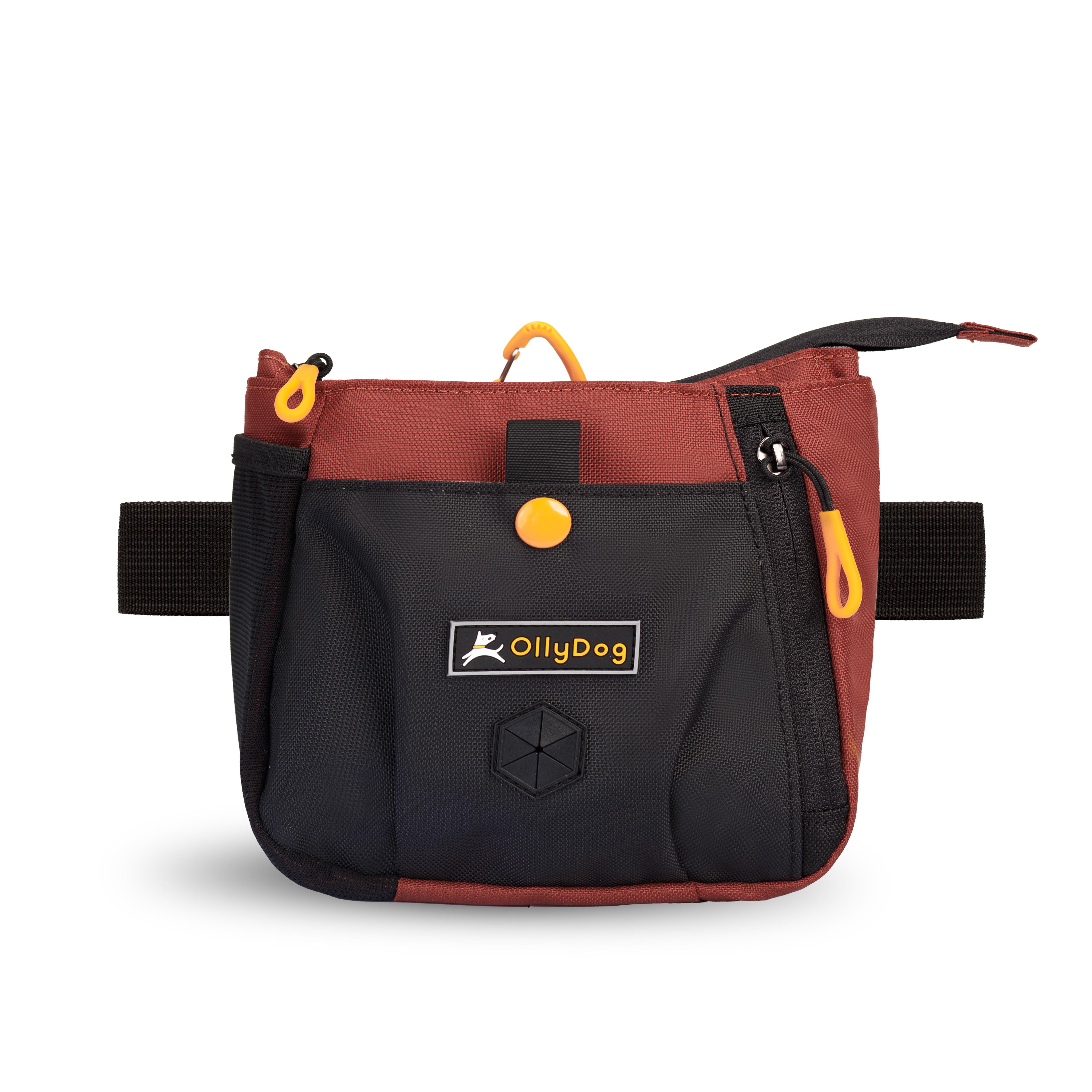 Flat front view of OllyDog’s Backcountry Day Bag in Cider, a practical dog walking waist pack featuring a zipper closure, dog poop bag holder, and adjustable waist strap. Ideal for hands-free dog training and perfect for hiking with dogs. Add Backountry Day Bag to your collection of dog walking accessories. #color_cider