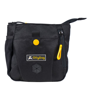 Backcountry Day Bag | Accessory Hip Pack