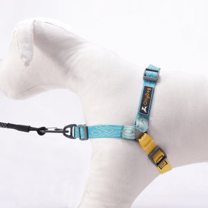 Essential Harness