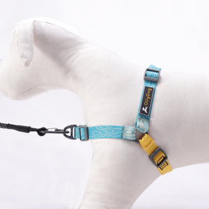 Essential Harness