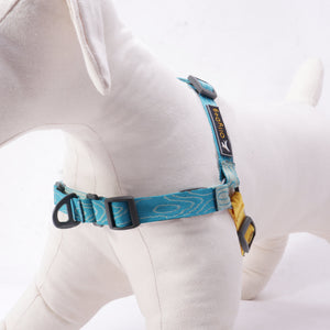 Essential Harness