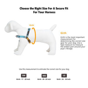 Essential Harness