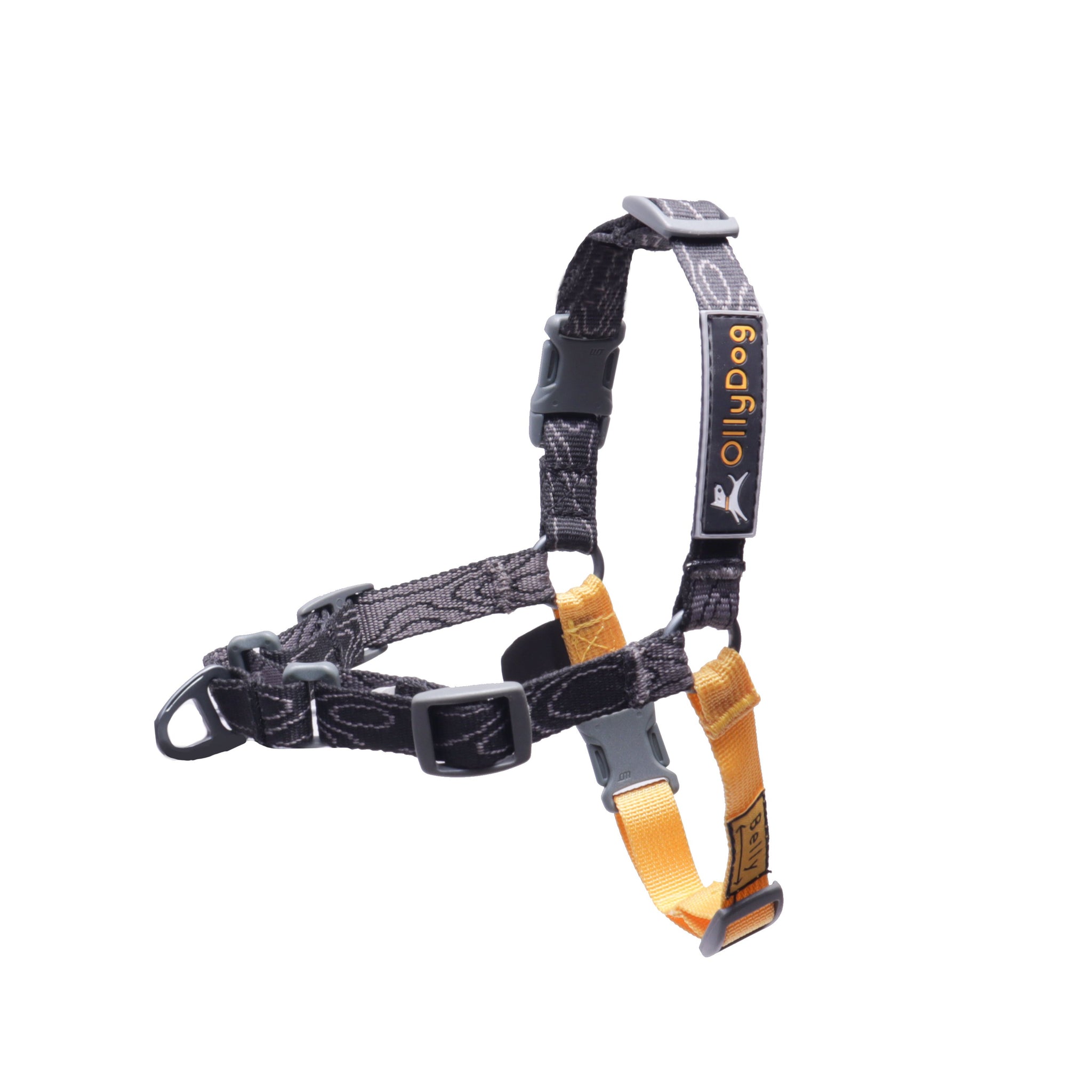 Essential Harness