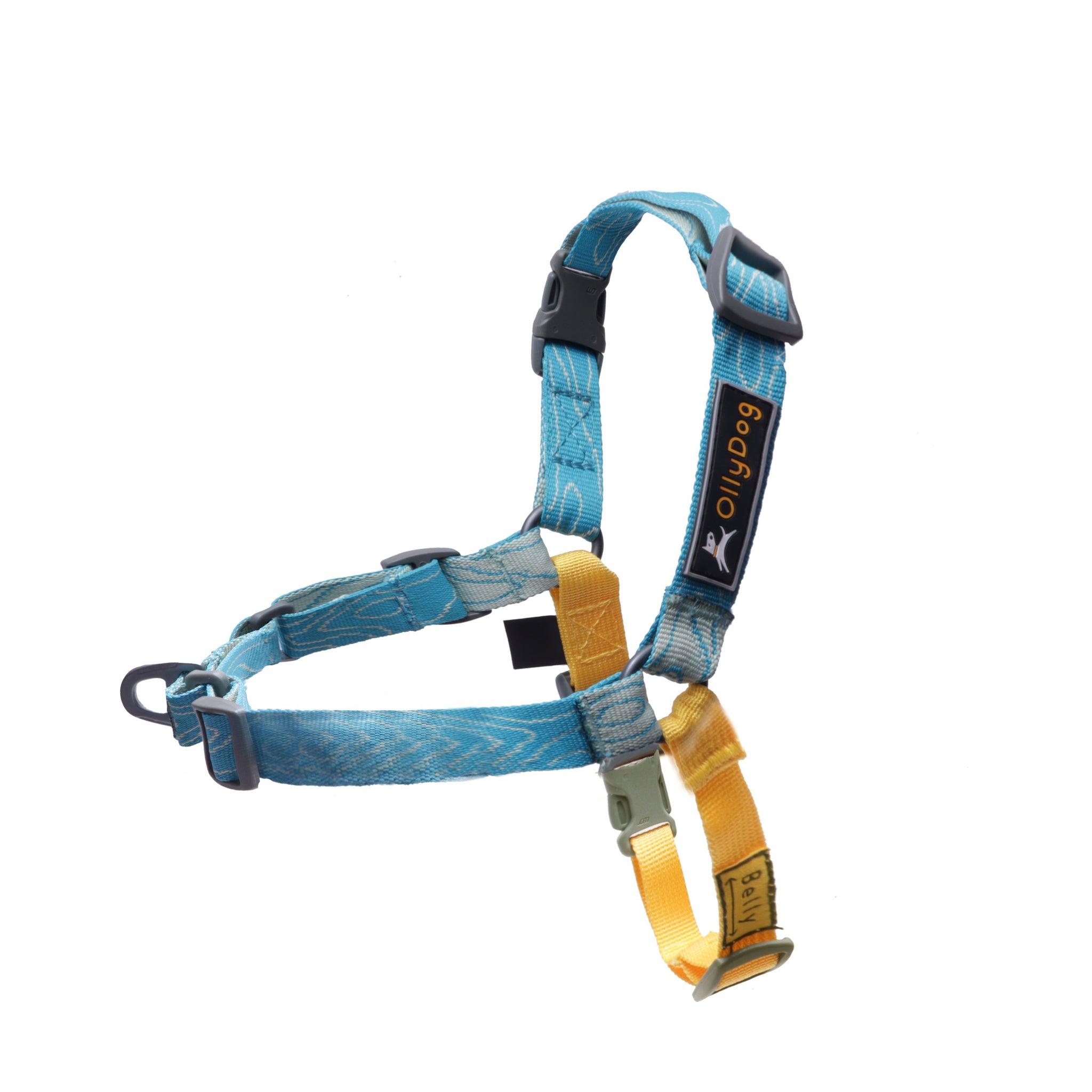 Essential Harness