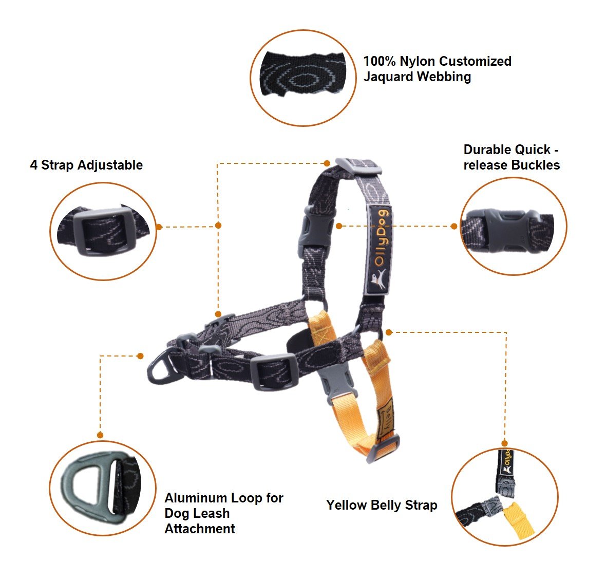 Essential Harness