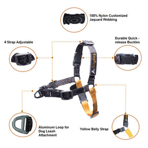 Essential Harness