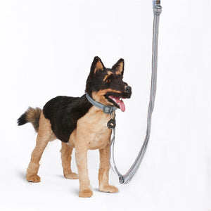 Rescue Adjustable Leash