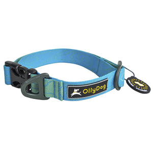Flagstaff Collar