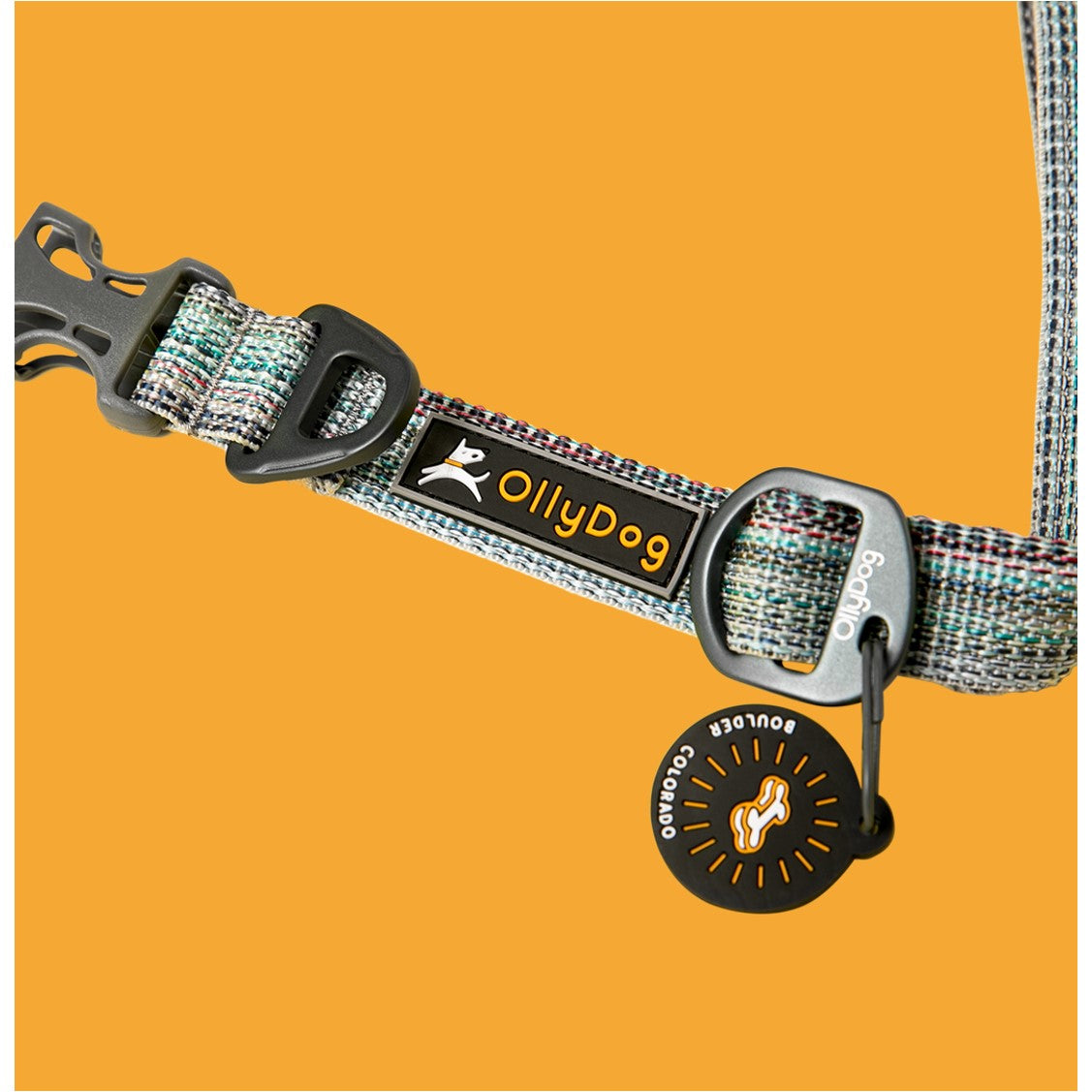 Rescue Adjustable Leash