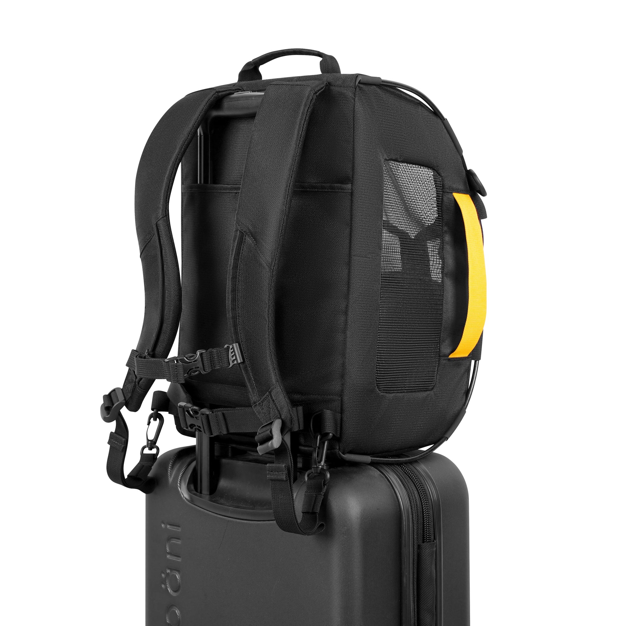 Meridian Dog Carrier