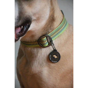 Mount Oso Bundle