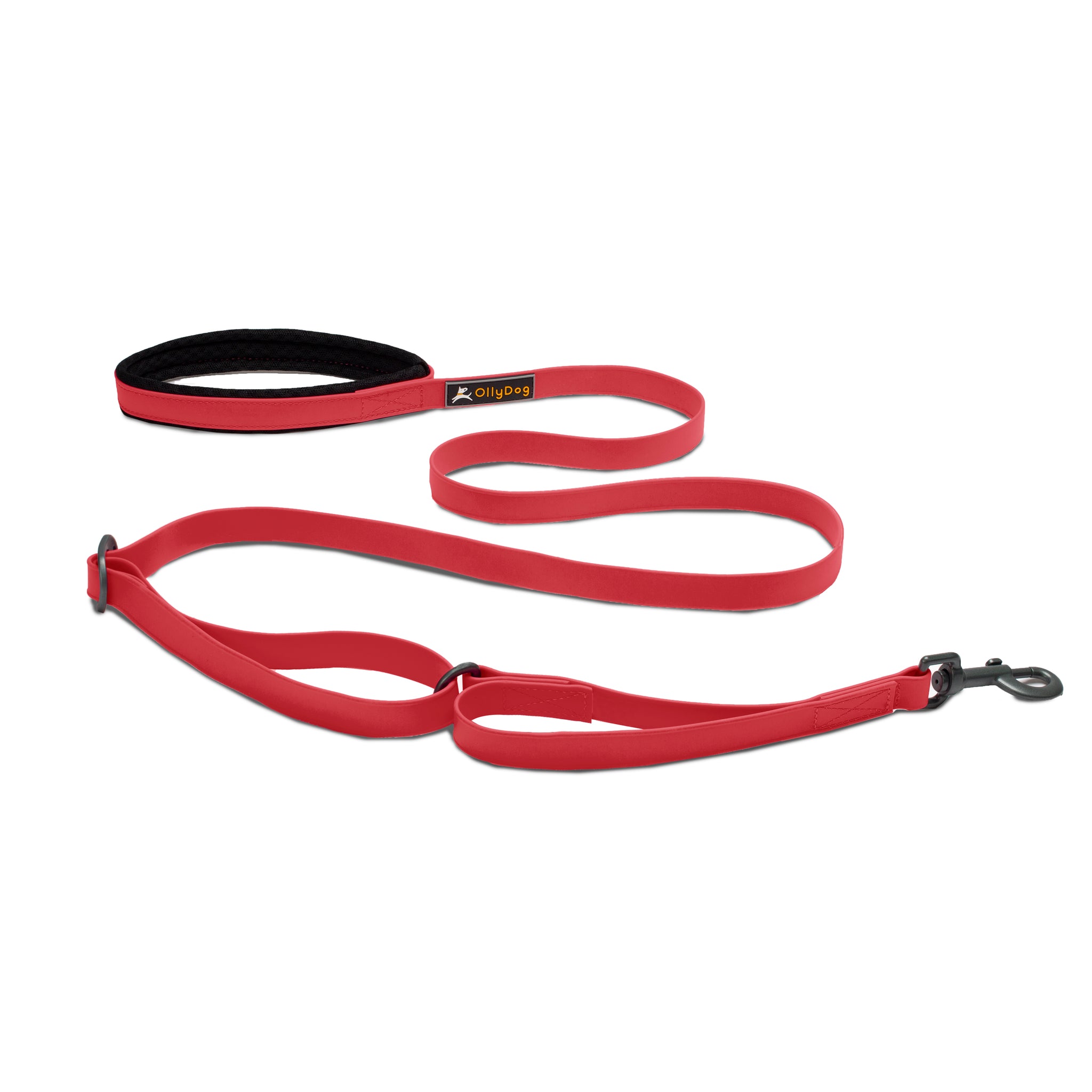 Tilden Waterproof Leash- Save 20% at Checkout