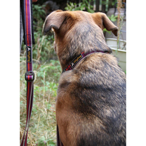 Urban Journey Reflective Leash- Save 20% at Checkout