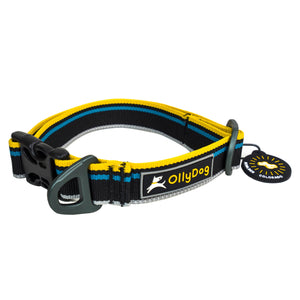 Urban Journey Reflective Collar- Save 20% at Checkout